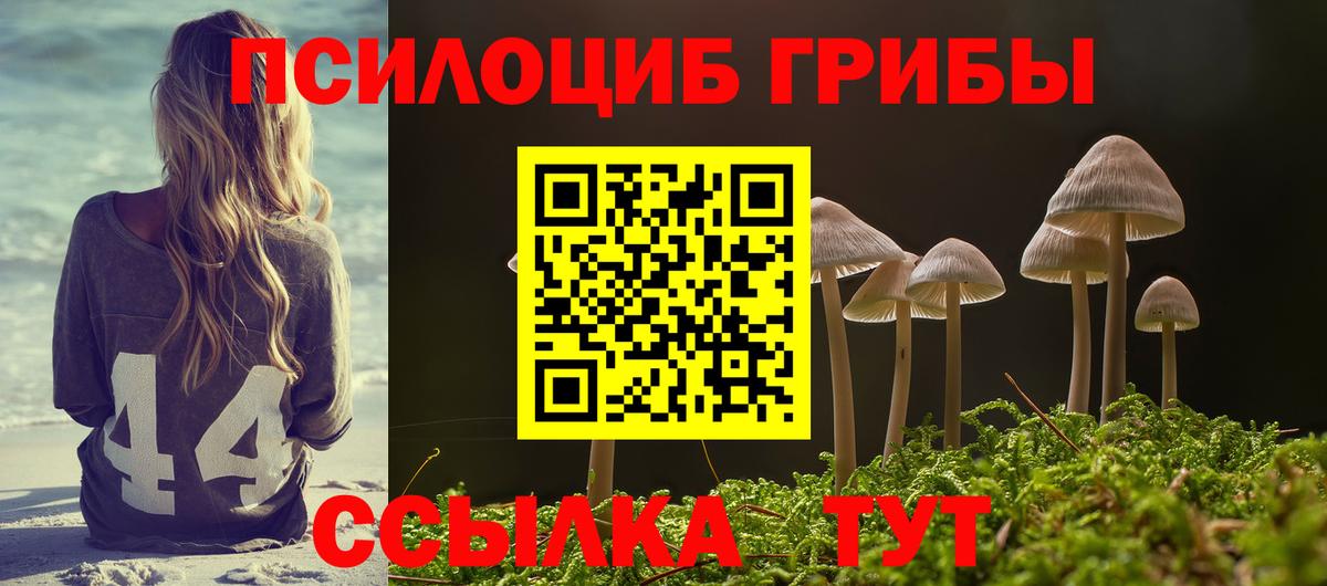 Галлюциногенные грибы мицелий  Галлюциногенные грибы Cubensis  Вход с VPN  Выкса 
